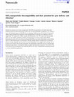 Research paper thumbnail of SiO2 nanoparticles biocompatibility and their potential for gene delivery and silencing