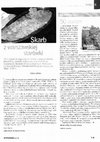 Research paper thumbnail of 2011. Skarb z warszawskiej starówki