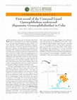 Research paper thumbnail of First record of the Unisexual Lizard Gymnophthalmus underwoodi Squamata Gymnophthalmidae in Cuba