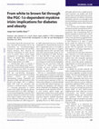 Research paper thumbnail of From white to brown fat through the PGC-1α-dependent myokine irisin: implications for diabetes and obesity