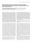 Research paper thumbnail of Sustained Morphine Exposure Induces a Spinal Dynorphin Dependent Enhancement of Excitatory Transmitter Release from Primary Afferent Fibers