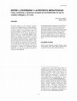 Research paper thumbnail of Entre la diversión y la protesta mediatizada -León y Golte