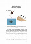 Research paper thumbnail of Transistor Amplifier