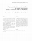 Research paper thumbnail of Typologie et fonctionnement des manchons des moulins rotatifs manuels durant le deuxième âge du fer et le Haut-Empire