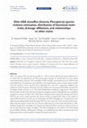 Research paper thumbnail of Ohio USA stoneflies (Insecta, Plecoptera): species richness estimation, distribution of functional niche traits, drainage affiliations, and relationships to other states Citation: DeWalt RE