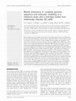 Research paper thumbnail of Bovine enterovirus 2: complete genomic sequence and molecular modelling of a reference strain and a wild-type isolate from endemically infected US cattle