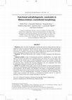 Research paper thumbnail of 3 Functional and phylogenetic constraints in Rhinocerotinae craniodental morphology