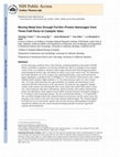 Research paper thumbnail of Moving Metal Ions through Ferritin− Protein Nanocages from Three-Fold Pores to Catalytic Sites