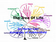 Research paper thumbnail of The Tree of Life