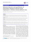 Research paper thumbnail of Molecular detection and quantification of Plasmodium falciparum-infected human hepatocytes in chimeric immune-deficient mice