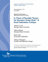 Research paper thumbnail of Is There a Plausible Theory for Decision under Risk? A Dual Calibration Critique