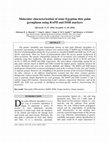 Research paper thumbnail of Molecular characterization of some Egyptian date palm germplasm using RAPD and ISSR markers