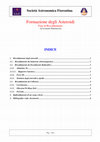 Research paper thumbnail of Asteroidi - Riscaldamento Primordiale