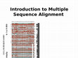 Research paper thumbnail of Multiple Sequence Alignment Lecture