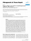 Research paper thumbnail of Focus on collagen: in vitro systems to study fibrogenesis and antifibrosis _ state of the art