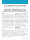 Research paper thumbnail of Effect of brief constant darkness and illumination on mitochondrial respiratory control of the pineal gland, Harderian gland, spleen and thymus of adult rat