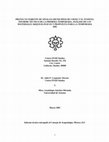 Research paper thumbnail of PROYECTO NORESTE DE SINALOA (MUNICIPIOS DE CHOIX Y EL FUERTE): INFORME TÉCNICO DE LA PRIMERA TEMPORADA, ANÁLISIS DE LOS MATERIALES ARQUEOLÓGICOS Y PROPUESTA PARA LA TEMPORADA 2005 (2004)