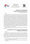 Research paper thumbnail of Zeytinburnu Kentsel Mekânında Soydaş Diyasporasının Örgütlenmesi / The Organization of the Consanguineous Diaspora in the Urban Spaces of Zeytinburnu