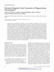 Research paper thumbnail of Dynamin Regulates Focal Exocytosis in Phagocytosing Macrophages