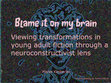 Research paper thumbnail of Blame it on my brain: viewing transformations in young adult literature through a neuroconstructivist lens