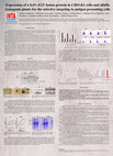 Research paper thumbnail of Ostachuk AI - Expression of a ScFv–E2T fusion protein in CHO-K1 cells and alfalfa transgenic plants for the selective directioning to antigen presenting cells