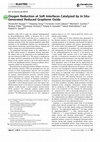 Research paper thumbnail of Oxygen Reduction at Soft Interfaces Catalyzed by In SituGenerated Reduced Graphene Oxide