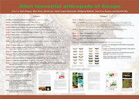 Research paper thumbnail of Alien Terrestrial Arthropods of Europe