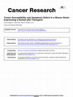 Research paper thumbnail of Tumor Susceptibility and Apoptosis Defect in a Mouse Strain Expressing a Human p53 Transgene