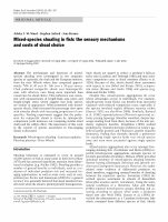 Research paper thumbnail of Mixed-Species Shoaling In Fish: the Sensory Mechanisms and Costs of Shoal Choice