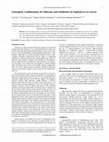 Research paper thumbnail of Synergistic Combinations of Chitosans and Antibiotics in Staphylococcus aureus