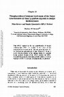 Research paper thumbnail of Thioglucosidase-Catalyzed Hydrolysis of the Major Glucosinolate of Maca (Lepidium meyenii)