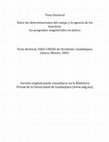 Research paper thumbnail of Tesis Doctoral: Entre las determinaciones del campo y la agencia de los maestros: los posgrados magisteriales en Jalisco