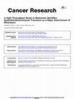 Research paper thumbnail of A High-Throughput Study in Melanoma Identifies Epithelial Mesenchymal Transition as a Major Determinant of Metastasis