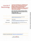 Research paper thumbnail of Transposon Mutagenesis of Mb0100 at the ppe1-nrp Locus in Mycobacterium bovis Disrupts Phthiocerol Dimycocerosate (PDIM) and Glycosylphenol-PDIM Biosynthesis, Producing an Avirulent Strain with Vaccine Properties At Least Equal to Those of M. bovis BCG