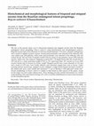 Research paper thumbnail of Histochemical and morphological features of biopsied and stripped oocytes from the Brazilian endangered teleost pirapitinga, Brycon nattereri (Characiformes)