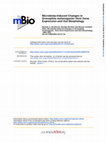 Research paper thumbnail of Microbiota-induced changes in Drosophila melanogaster host gene expression and gut morphology