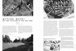 Research paper thumbnail of Biting Back: Art and Activism at the Dog Park