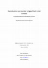 Research paper thumbnail of Reproduktion von sozialer Ungleichheit in der Schweiz