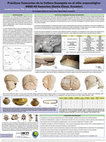 Research paper thumbnail of Prácticas funerarias de la Cultura Guangala o Periodo de Desarrollo Regional en el sitio arqueológico OGSE-46 Samarina (Santa Elena, Ecuador)