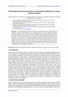 Research paper thumbnail of Thermophysical characterization of earth blocks stabilized by cement, sawdust and lime