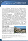 Research paper thumbnail of Collina-Girard, J Arfib, B, (2010). Le Karst polyphasé des calanques et la grotte Cosquer. Pages 110-111, in Grottes et Karst de France, Karstologia Mémoires n°19, s/d Ph.Audra, 360 pages.