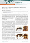 Research paper thumbnail of First records of Plagiolabra von Schulthess (Hymenoptera: Vespidae) from Brazil