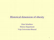 Research paper thumbnail of The Historical Dimension of Obesity