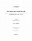 Research paper thumbnail of TRANSCRIPTIONAL REGULATION OF THE 17ALPHA- HYDROXYLASE GENE IN NORMAL AND POLYCYSTIC OVARY SYNDROME OVARIAN THECA CELLS