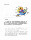 Research paper thumbnail of Sel Tubuh Manusia