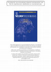 Research paper thumbnail of Is the Body In the Eye of the Beholder?: Visual Processing of Bodies In Individuals With Anomalous Anatomical Sensory and Motor Features