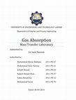 Research paper thumbnail of Gas Absorption