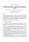 Research paper thumbnail of DIREITO PENAL E GÊNERO – O TRATAMENTO DA MULHER EM SITUAÇÃO DE VIOLÊNCIA DOMÉSTICA NA LEI MARIA DA PENHA 