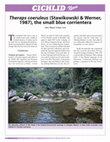 Research paper thumbnail of Theraps coeruleus Stawikowski & Werner, 1987, the small blue corrientera