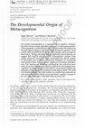 Research paper thumbnail of The Developmental Origin of Metacognition